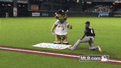 hou GIF by MLB
