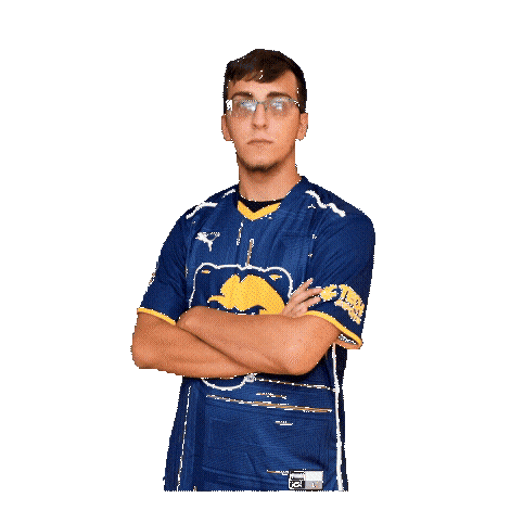 Super Smash Bros Esports Sticker by WVU Tech Golden Bears
