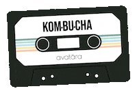 AvataraSkin kombucha avatara avataraskin avatarakombucha Sticker