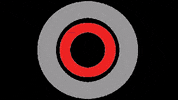 Omroep GIF by Studio040