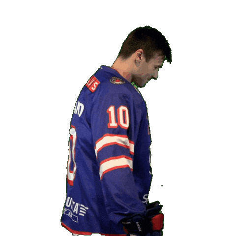 Nick Sticker by VIF Hockey