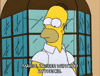 homer simpson GIF