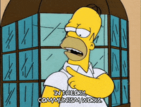 homer simpson GIF
