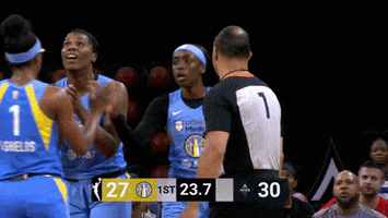 High Five Chicago Sky GIF by WNBA