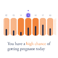 App Period Sticker by inne