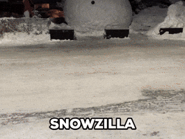 Snowzilla Returns
