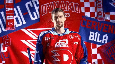 Hockeytown GIF by HC Dynamo Pardubice