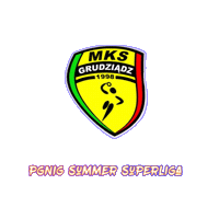 Recznaplazowa Sticker by PGNiG Summer Superliga