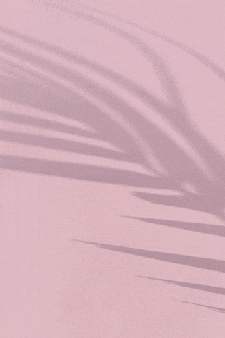 blakeottinger giphyupload GIF