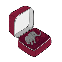 NicolRaidman elephant proposal engaged i said yes Sticker