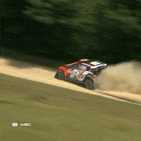 Drift Poland GIF by FIA World Rally Championship