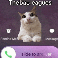 Bao Bao GIF