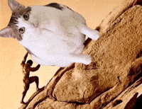 Uncle Bao Bao GIF