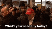 Donald Trump GIF by GIPHY News