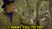 australia conan GIF by Team Coco