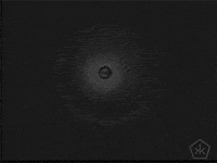 black and white vintage GIF by Okkult Motion Pictures