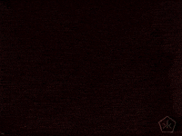 Open Knowledge Vintage GIF by Okkult Motion Pictures