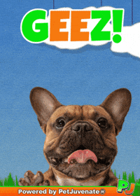 PetJuvenate petjuvenate henlo hooman fren love rescue dogs treatos and woofer for pupper GIF