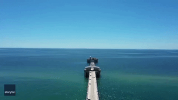 Migrating Stingrays Near Alabama's Gulf State Pier Captured on Drone Footage