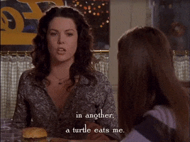 season 3 netflix GIF by Gilmore Girls 