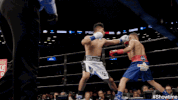 mikey garcia punch GIF by SHOWTIME Sports