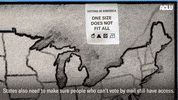 Access Voting GIF by ACLU