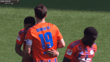 Football Soccer GIF by FC Schalke 04