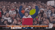 New England Patriots Football GIF by NFL