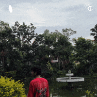 Ashiqur01 GIF by cariowns