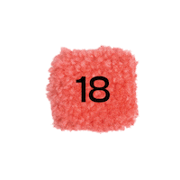 Nrs18 Sticker by No Rules Studio