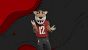 Washington State Go Cougs GIF by WSU Pullman