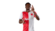 Football Goal Sticker by SK Slavia Praha