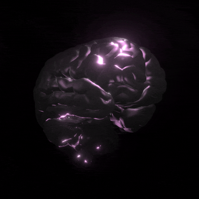 Deep Learning Model Training