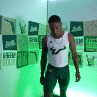 South Florida Horns Up GIF by USF Athletics