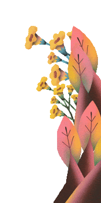 Festival Teresina Sticker by festivalgirasol