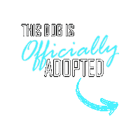 Happy Dog Sticker by TracysPawsRescue