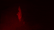 curtis harding GIF by Burger Records