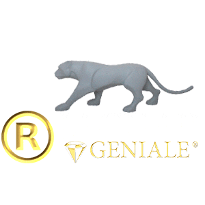 Geniale giphyupload geniale genialevasos geniale genialevasos Sticker