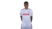 1 Fc Cologne Football Sticker by 1. FC Köln