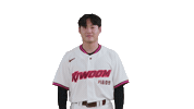 Kbo Sticker by Kiwoom Heroes Baseball Club