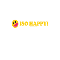Smiley Face Fun Sticker by Schellman