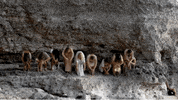 Dance Love GIF