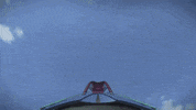 florida mako GIF by The Telegraph