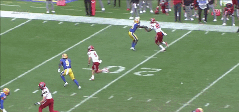 therealessad giphygifgrabber ncstate GIF