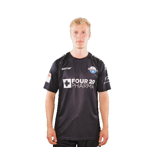 Bundesliga Hansen Sticker by SC Paderborn 07