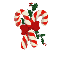 OleksandraKartel mistletoe merryxmas Sticker