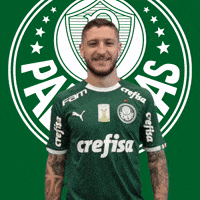 Palmeiras soccer clap futebol high five GIF