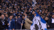 party goal GIF by Hertha BSC
