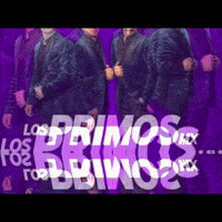 Los Durango GIF