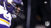 Minnesota Vikings Football GIF by NFL